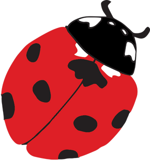 centinelle ladybug 