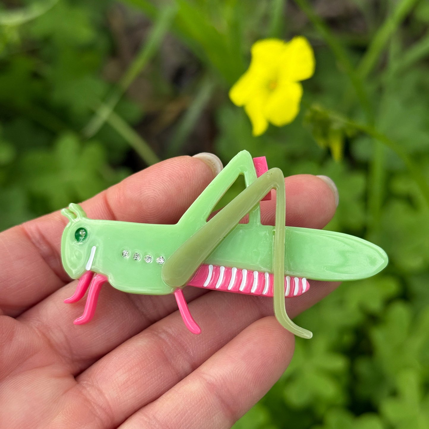 Chapulin Grasshopper hair barrette on green and pink, hair clip from Centinelle