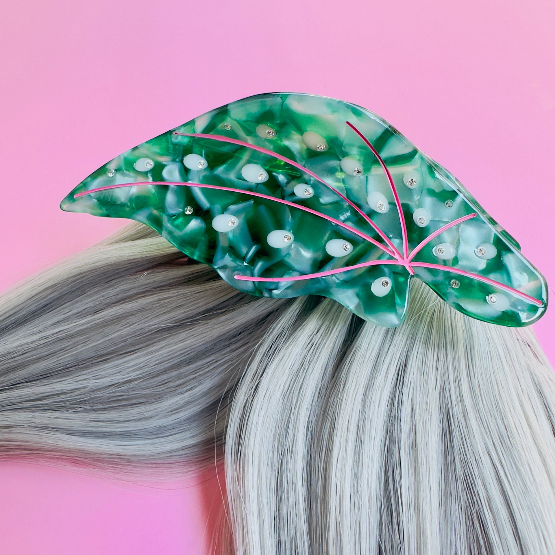 Begonia Maculata Hair Claw